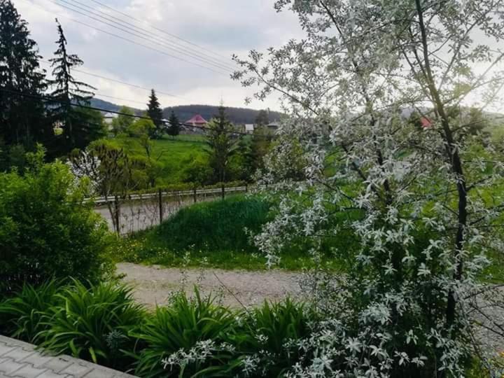 Pensiunea Valurile Bistritei Ватра Дорней Екстериор снимка
